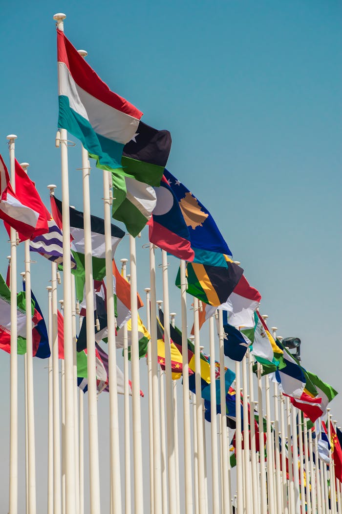 A variety of international flags waving on flagpoles under a clear blue sky.