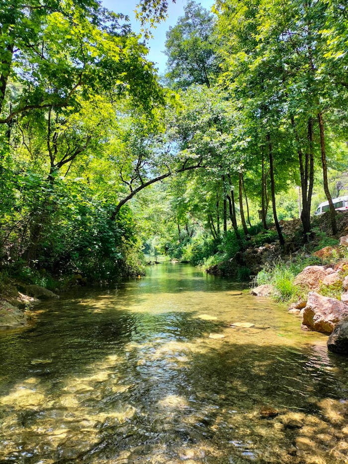 mission-02 Tranquil stream flowing through lush forest in Antalya, Türkiye, under bright sunlight.
